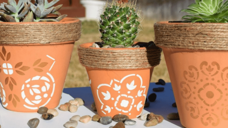 Stunning DIY Terra Cotta Planters for Indoors & Outdoors