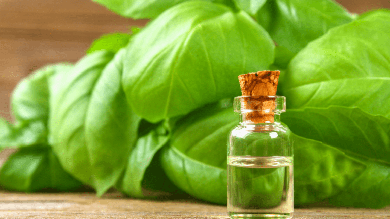 Get Rid Of Clover Mites With Essential Oils