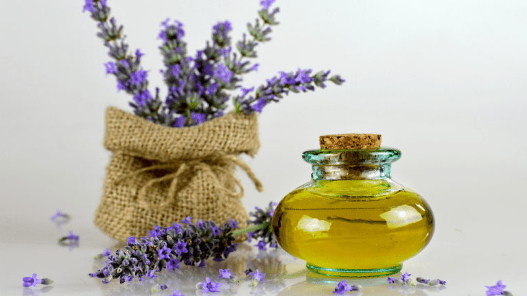 DIY Guide: How to Make Lavender Oil from Leaves