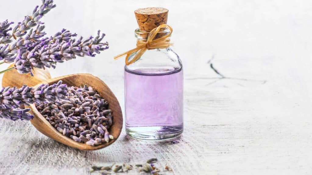 Best Methods For Preserving The Lavender Water