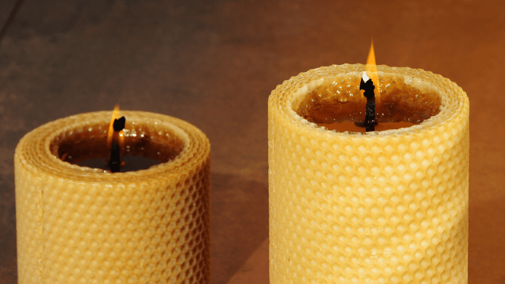 Beeswax Candle Supplies and Ingredients